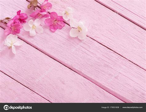 Pink Spring Flowers On Wooden Background — Stock Photo © Kruchenkova