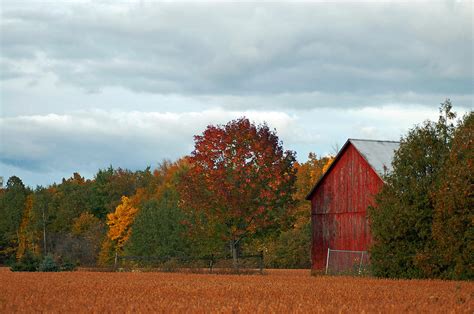 Autumn Barn Photograph By Cheryl Cencich Fine Art America
