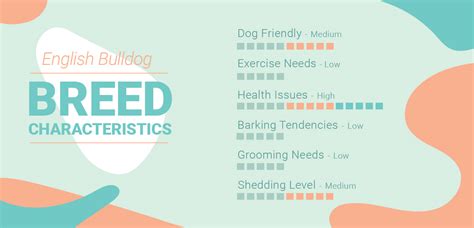 English Bulldog Dog Breed Facts Temperament And Care Info