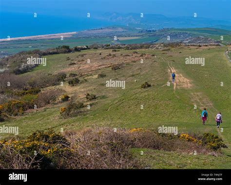 The South West Coastal Path Near West Bexington Dorset In Early April
