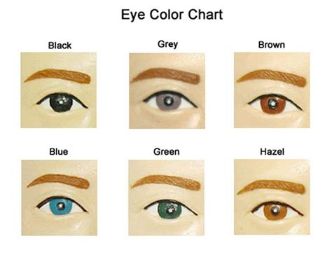 Eye Color Chart Eye Color Chart Eye Color Hair Color Chart 75632 Hot