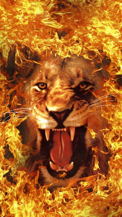 Download Roaring Fire Lion With Flame Border Wallpaper