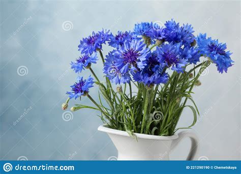 Bouquet Of Beautiful Cornflowers In Vase Against Light Blue Background