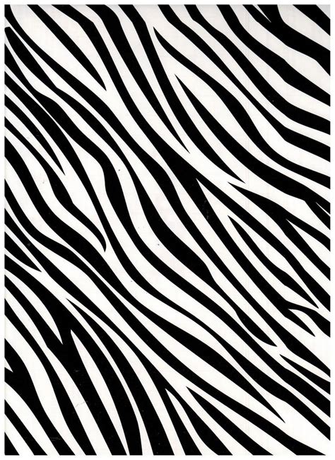 Zebra Black Contact Paper Animal Print Wallpaper Zebra Print