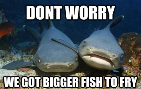 Dont Worry We Got Bigger Fish To Fry Compassionate Shark Friend