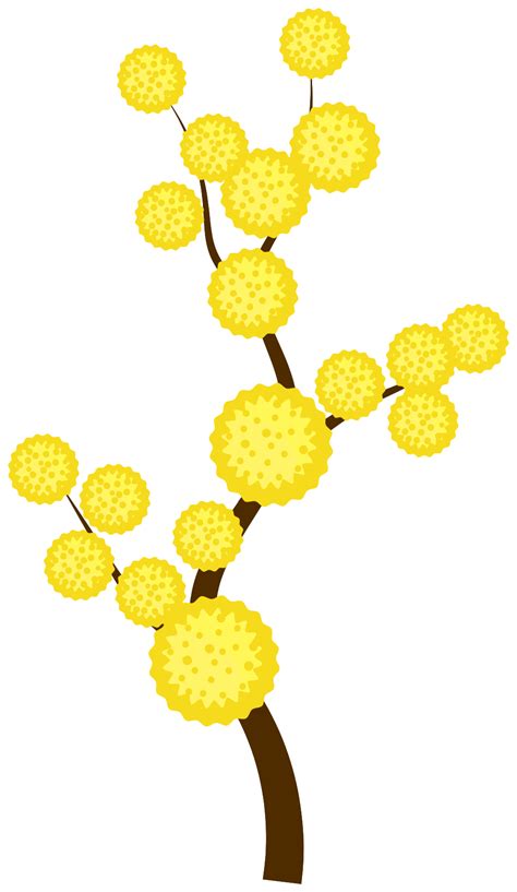 Mimosa Flower 1190402 Png