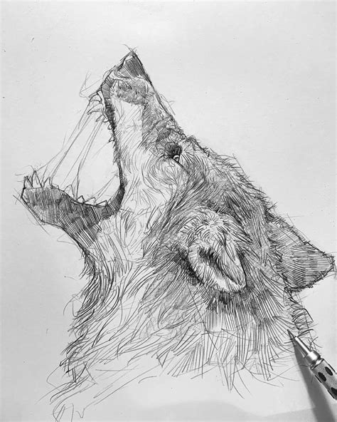A Pencil Drawing Of A Wolf S Head With Its Mouth Open And His Eyes Closed