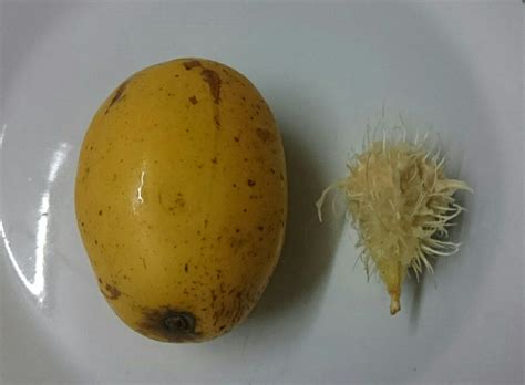 Food Identification Whats This Yellow Plum Like Fruit With A Spiky
