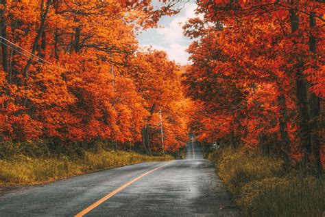 These 203 Beautiful Autumn Photos Will Inspire You To Grab Your Camera