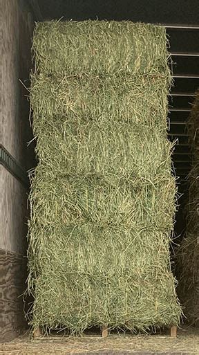 New Hay Options Are Here Kissimmee Valley Feed