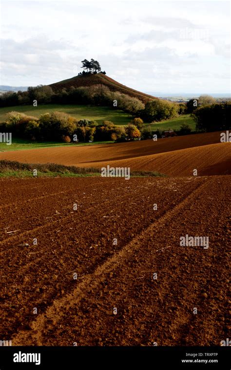 Colmers Hill Symondsbury Dorset England Uk Stock Photo Alamy