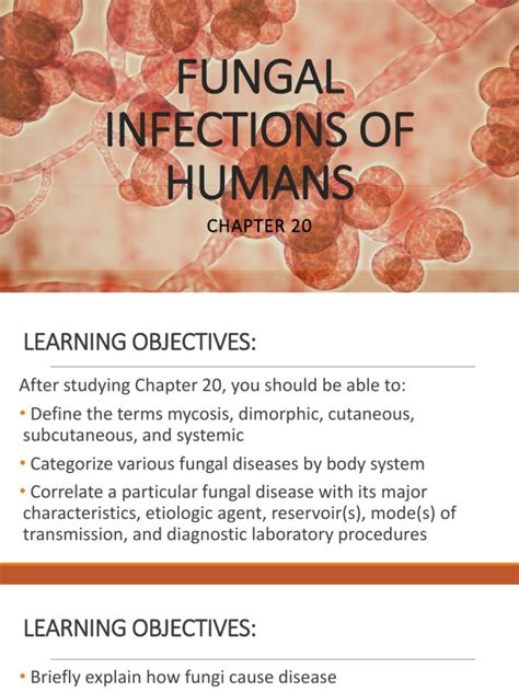 Fungal Infections Of Humans Infection Public Health