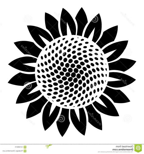 Sunflower Black And White Vector At Collection Of