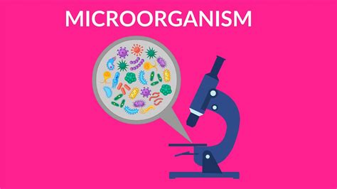 Learn About Microorganism Microbes Video For Kids Youtube