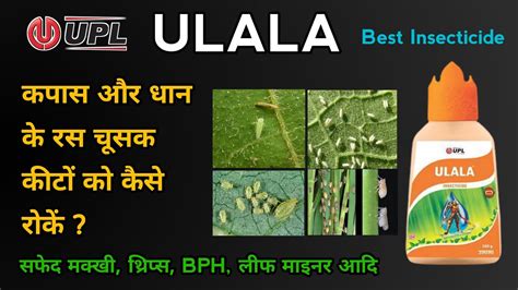 Upl Ulala Insecticide Flonicamid 50 Wg रस चूसक कीटों के लिए Sucking Pest Control In