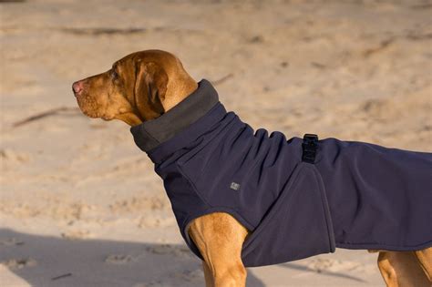 Round Up 17 Stylish Raincoats For Large Dogs Hey Djangles