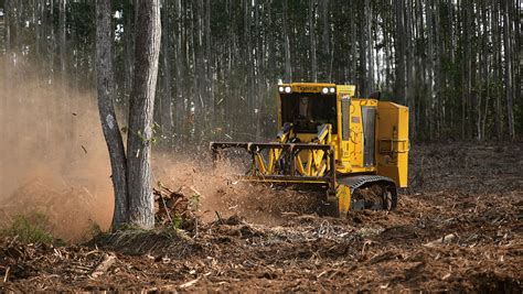 B Mulcher Right Of Way Land Clearing Silviculture Tigercat