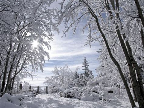 Beautiful Snowy Scenes Beautiful Snow Scene2n Winter Images De