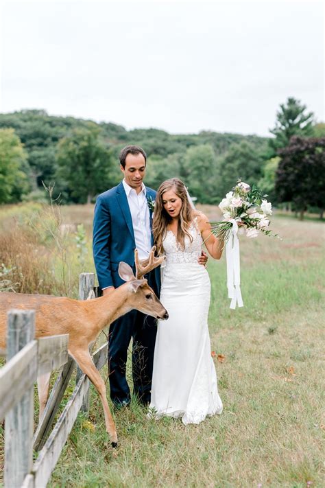 A Deer Photobombed A Wedding Photo Shoot When It Got Hungry For The Brides Bouquet