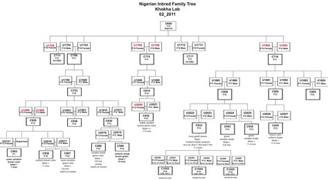 Family tree templates from smartdraw are so easy to use there's virtually no learning curve. genetic family tree template - Google Search | Family tree template, Family tree, Family tree maker