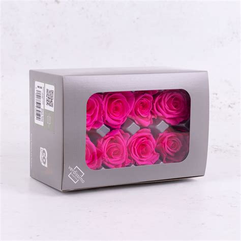 Rose Heads Preserved Med Bright Pink Box 8 Atlas Flowers