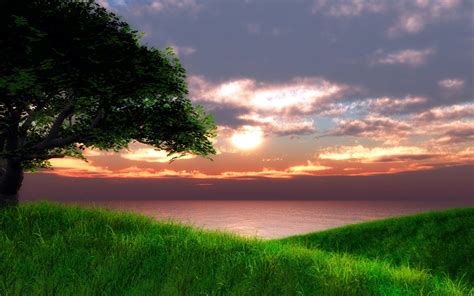 Sunset Green Landscape Wallpaper 1920x1200 32146