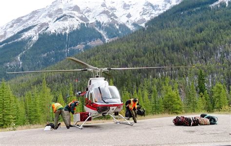 At the time your application is postmarked and at the time alberta plans to nominate over five thousand skilled workers and professionals through its pnp, i.e. A helicopter crew readies for a mission while perched on the Sunshine Village ski resort road ...