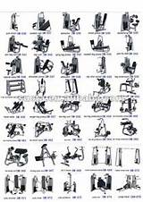 Photos of Names Of Fitness Exercises