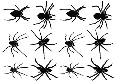 Edderkoppetatoveringer I Edderkopper Som Fake Tatoveringer Like Ink