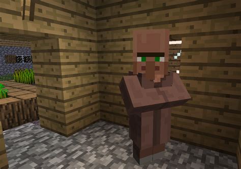 The Truth About The Npc Villagers Minecraft Blog
