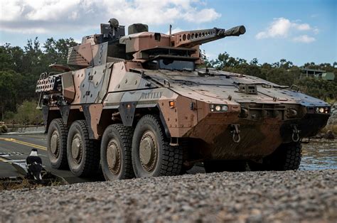 Boxer CRV Australian Army European Security Defence