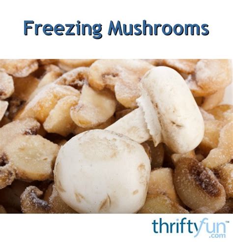 Freezing Mushrooms Thriftyfun