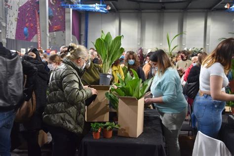 W Opolu Trwa Festiwal Roślin Największy W Polsce Targ Roślin