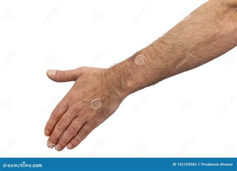 Isolated Hands On White Stock Photo Image Of Gesturing 152159562