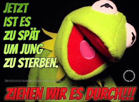 Kermit And Miss Piggy Kermit The Frog Funny Memes Hilarious Jokes