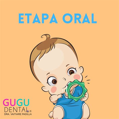 Gugu Dental La Fase Oral 👶🏼 Determinada Así Por El