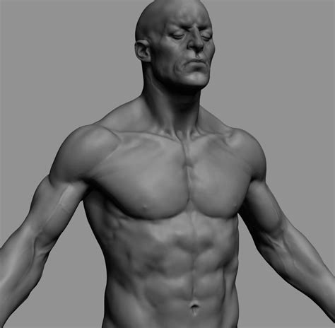 How to draw male body full lesson. Male Anatomy 3D model characters | CGTrader