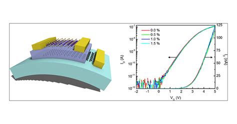 Flexible And Transparent Mos2 Field Effect Transistors On Hexagonal