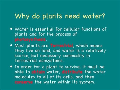 Plants And Water The Evolutionary Model