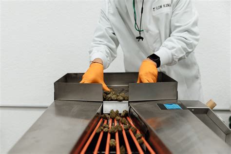 Flow Kana Opens Worlds Largest Cannabis Processing Center In