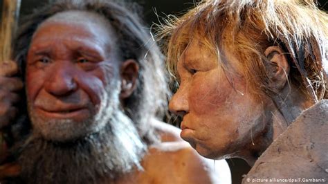 Neanderthal Genes May Be Liability For Covid 19 Patients Researchers