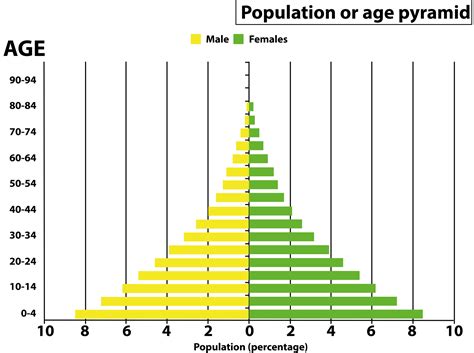 Age Pyramid Types