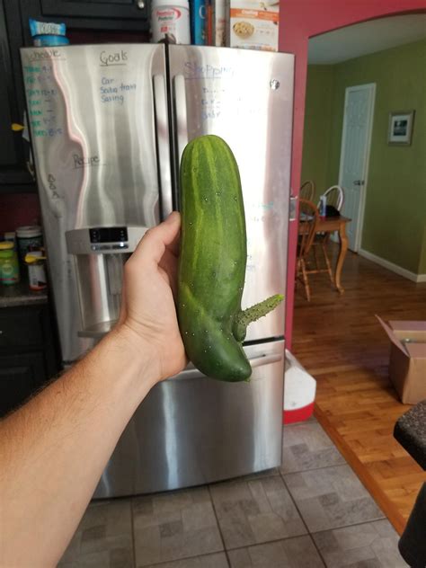I Grew A Cucumber Rfunny