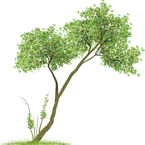 Transparent Tree Clipart 20 Free Cliparts Download Images On