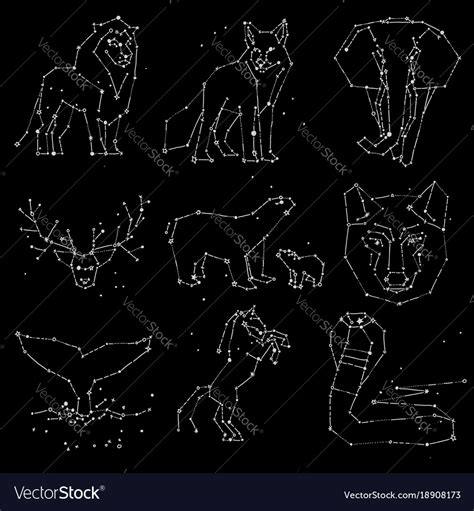 In this video, paul millard from the british council in vietnam provides drawing tips to help you improve your artistic skills! Collection of hand draw animals constellation on Vector Image