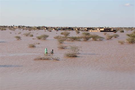 Sudan Flooding Center For Disaster Philanthropy