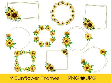 Sunflower Frame Png Floral Frame Png Frame Bundle Sunflower Etsy