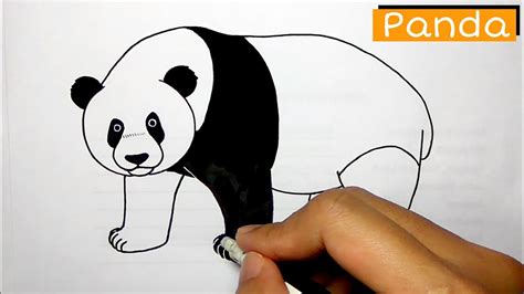 Cara Menggambar Panda Yang Mudah Youtube