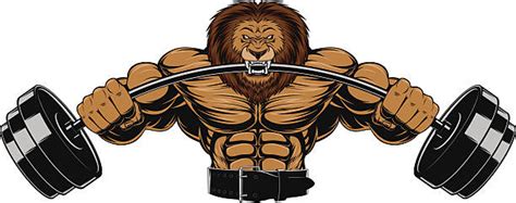 Animal Weight Lifting Illustrations Royalty Free Vector Graphics