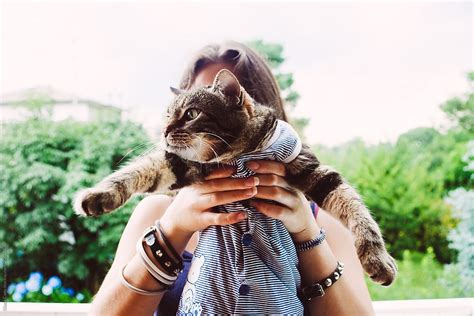 Woman Holding A Cat By Stocksy Contributor Giada Canu Stocksy